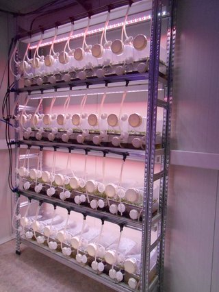 ชั้นวางสำหรับเครื่องปฏิกรณ์ชีวภาพ 32 เครื่อง (Rack for 32 bioreactors, Rack Systems) ยี่ห้อ SETIS รุ่น SE-R32