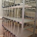 ชั้นวางสำหรับเครื่องปฏิกรณ์ชีวภาพ 64 เครื่อง (Rack for 64 bioreactors, Rack Systems) ยี่ห้อ SETIS รุ่น SE-R64 (SIT282)