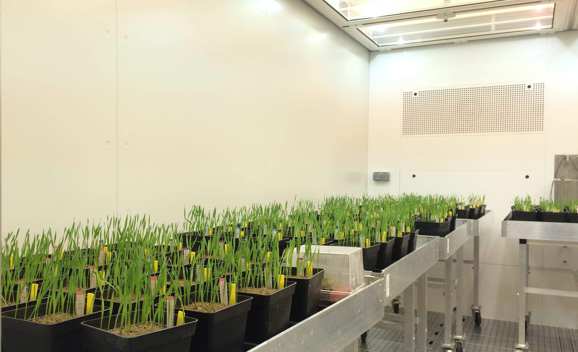 ตู้ควบคุมการเจริญเติบโตเพาะเลี้ยงพืช และชีวภาพ (BIO PLANT RESEARCH) ยี่ห้อ ARALAB รุ่น FITO CLIMA HP “WALK-IN” (SIT166) ตู้ควบคุมการเจริญเติบโตเพาะเลี้ยงพืช และชีวภาพ (BIO PLANT RESEARCH) ยี่ห้อ ARALAB รุ่น FITO CLIMA HP “WALK-IN” (SIT166)