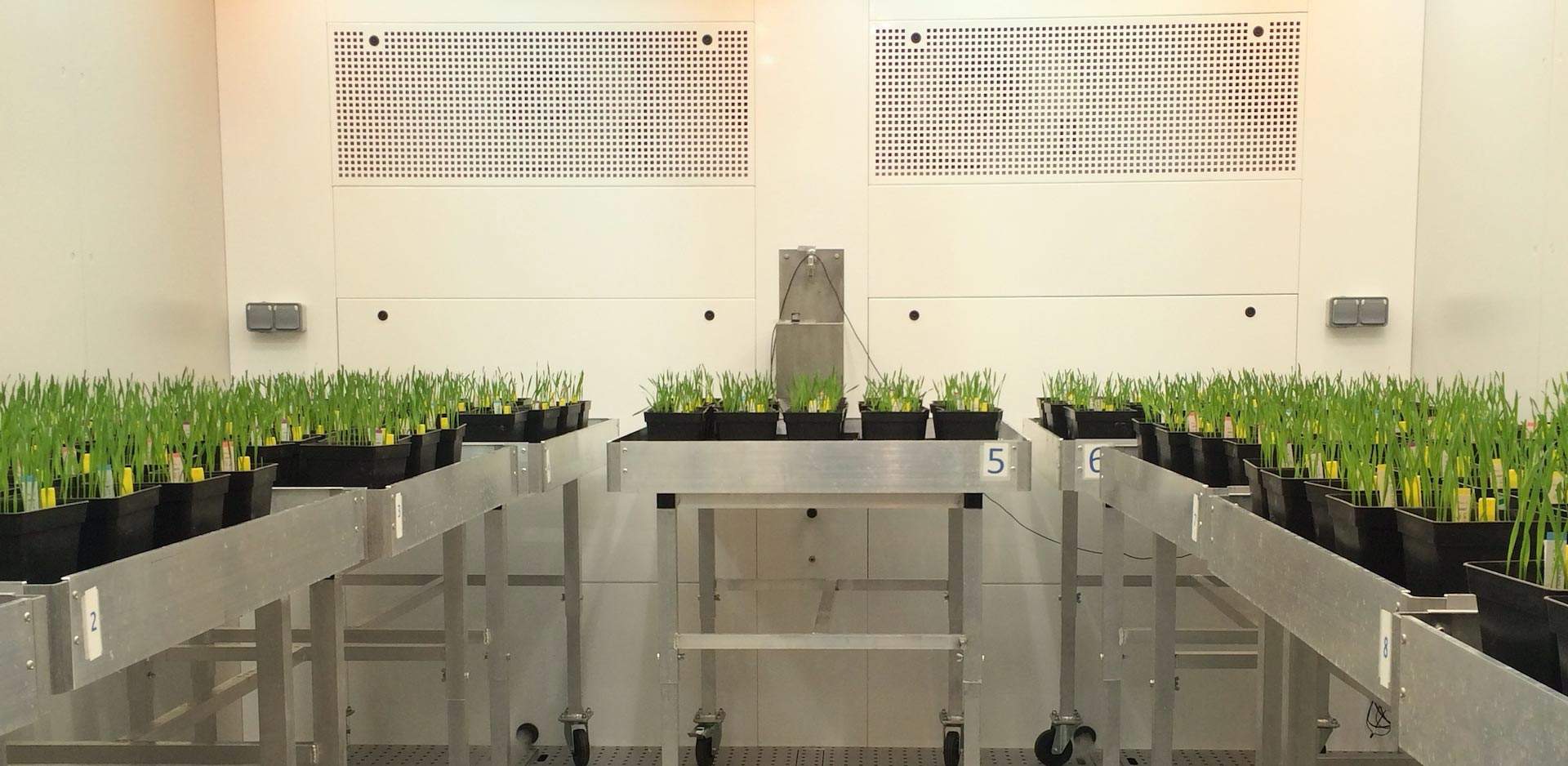 ตู้ควบคุมการเจริญเติบโตเพาะเลี้ยงพืช และชีวภาพ (BIO PLANT RESEARCH) ยี่ห้อ ARALAB รุ่น FITO CLIMA HP “WALK-IN” (SIT166) ตู้ควบคุมการเจริญเติบโตเพาะเลี้ยงพืช และชีวภาพ (BIO PLANT RESEARCH) ยี่ห้อ ARALAB รุ่น FITO CLIMA HP “WALK-IN” (SIT166)